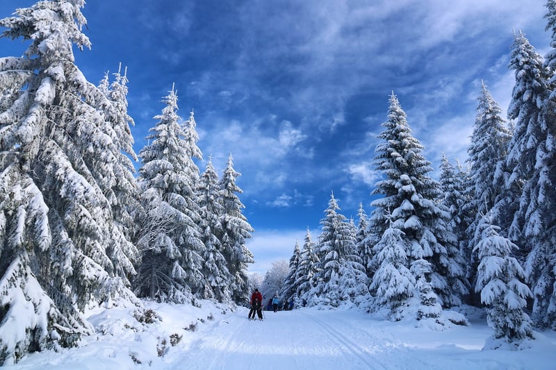 Skiing Adventures